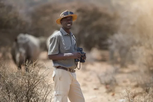 What Are 5 Careers in Tourism? Top Tourism Jobs to Consider in South Africa